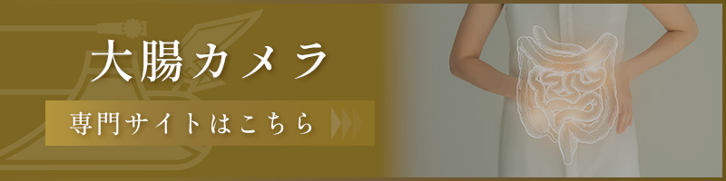 大腸カメラ専門サイトはこちら
