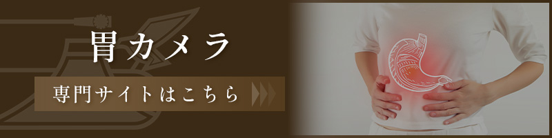 胃カメラ専門サイトはこちら